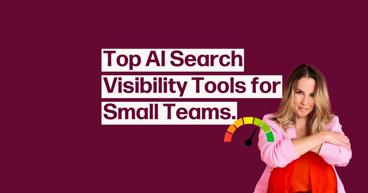 Top AI Search  Visibility Tools for Small Teams suzanne hevey founder gro me online